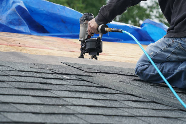 Best Metal Roofing Contractor  in Laurel Hill, NC